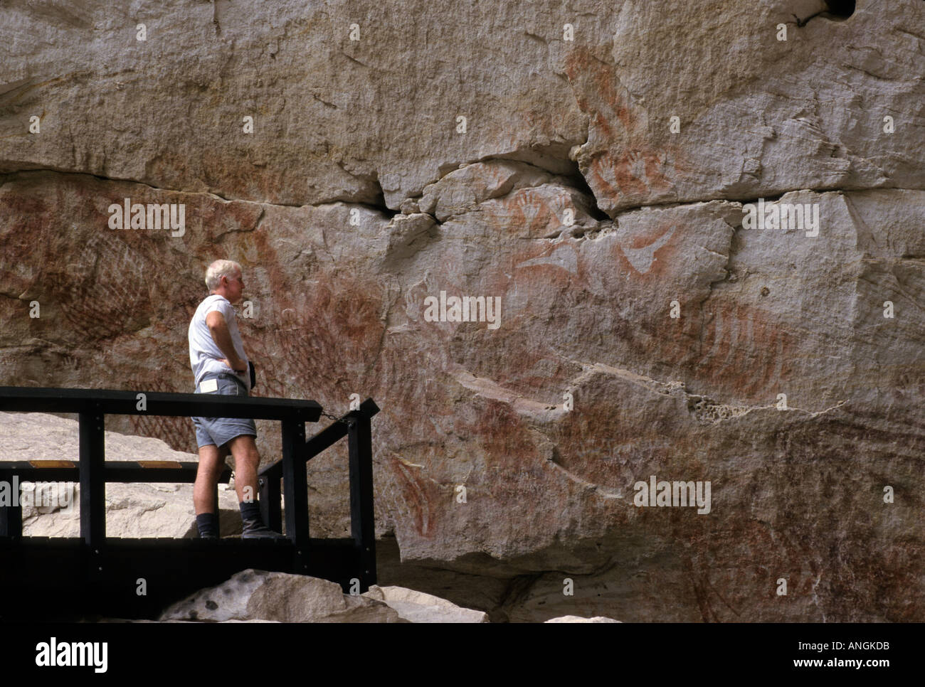 Aboriginal rock paintings, Carnarvon National Park, Queensland