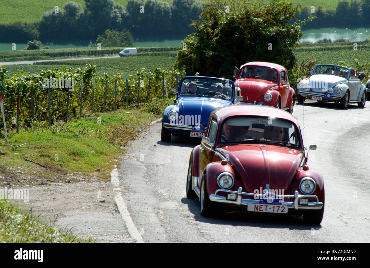 VW Beetle classic cars on tour in the Champagne region of France Europe EU Stock Photo