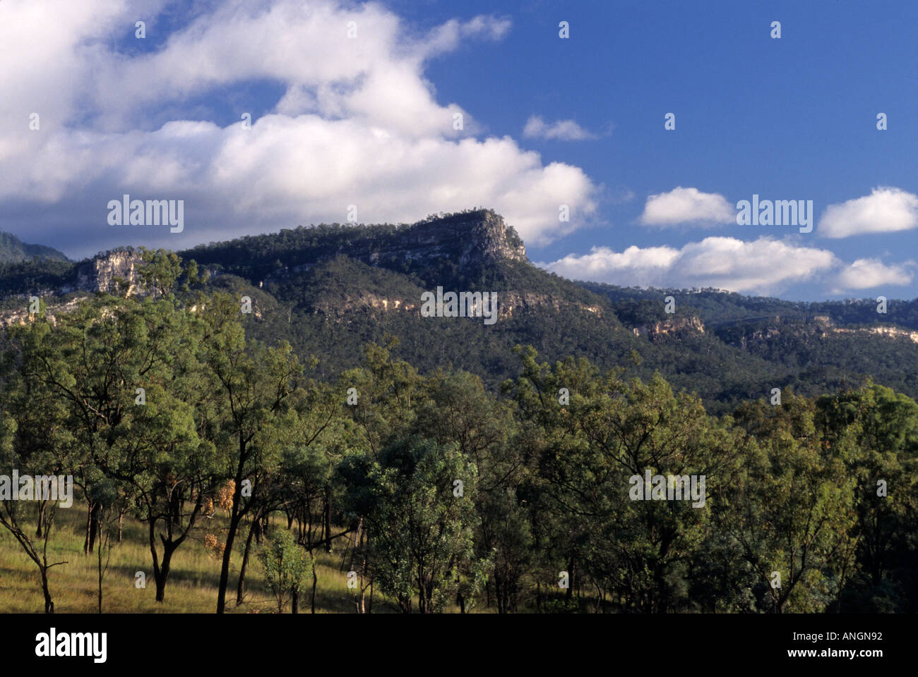 Carnarvon National Park Queensland Australia Stock Photo Alamy