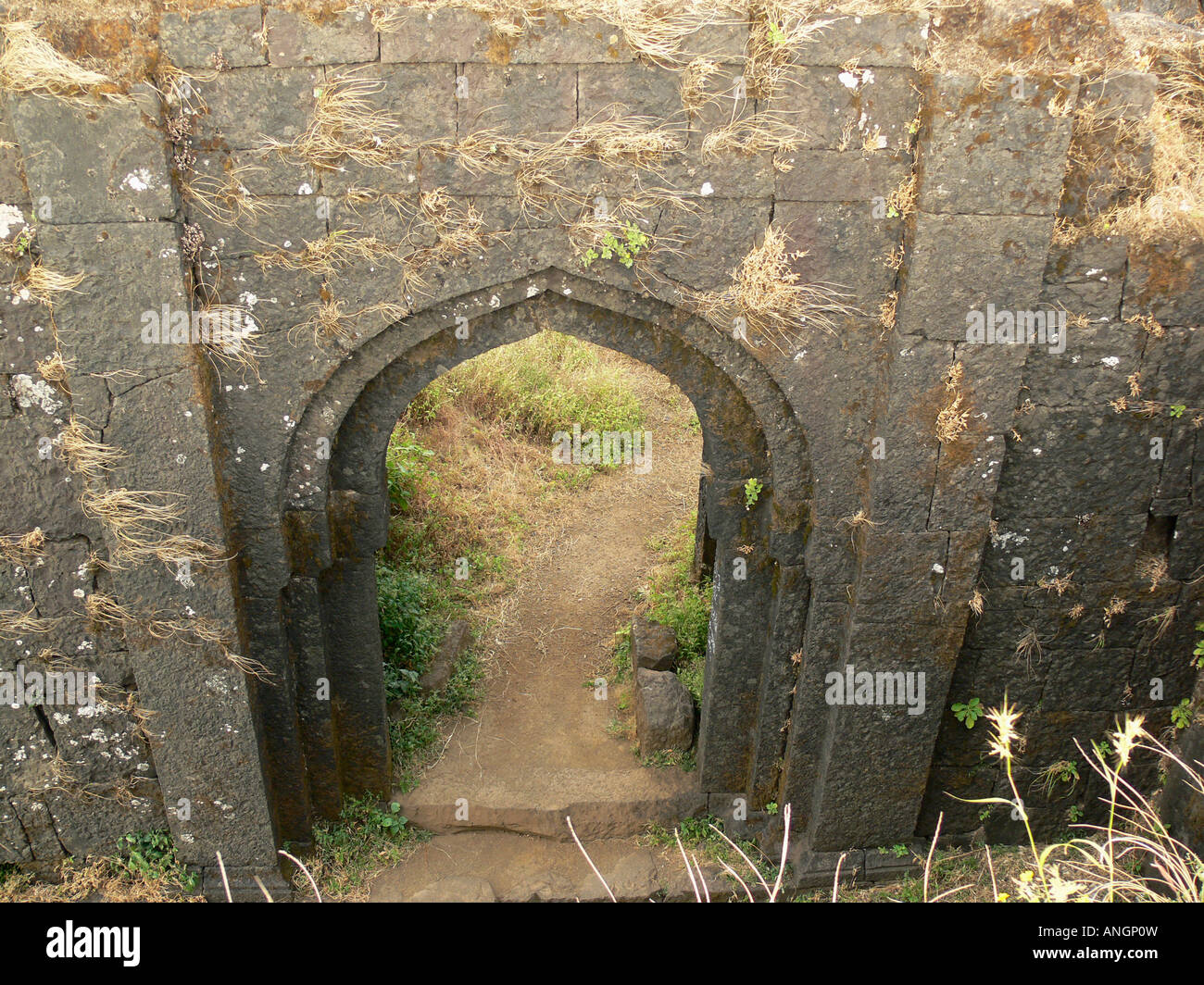 Torna Fort - Prachandgad | Torna Gad Maharashtra Travel Guide