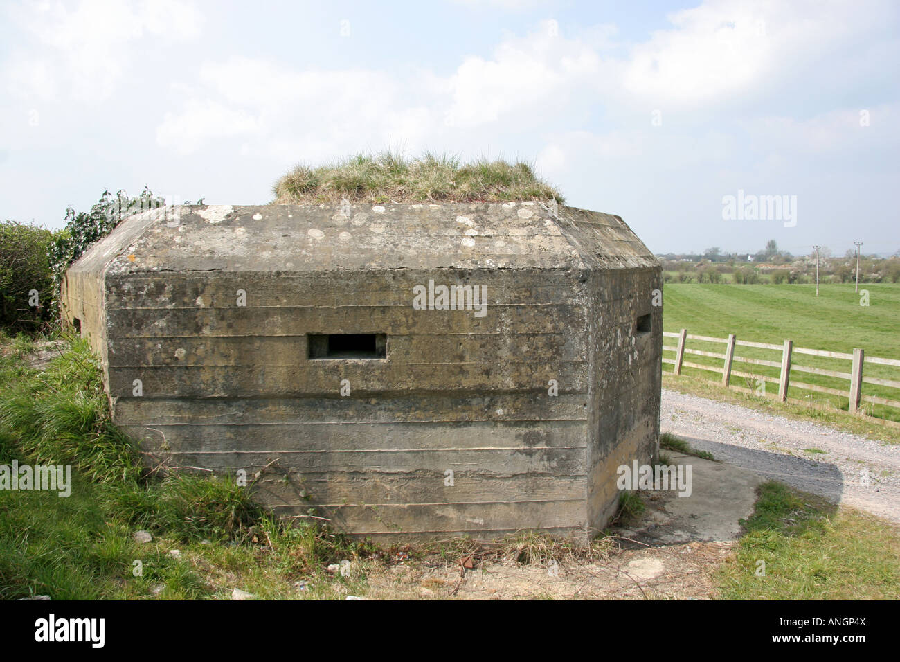 Old World War 2 Pill Box In Wiltshire England Stock Photo 15524377 Alamy old-world-war-2-pill-box-in-wiltshire-england-stock-photo-15524377-alamy