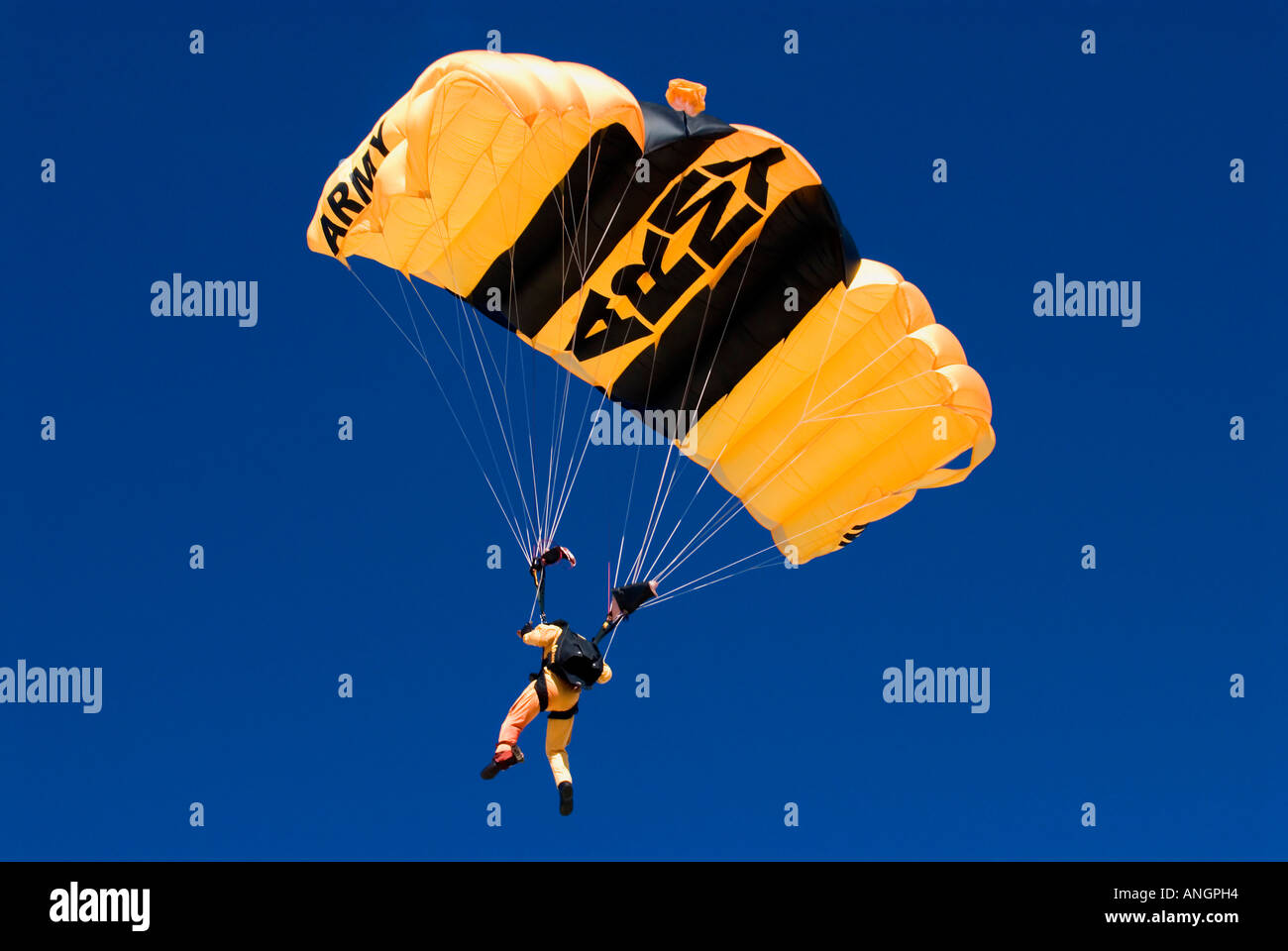 DVIDS - Images - U.S. Army Parachute Team jumps in to football