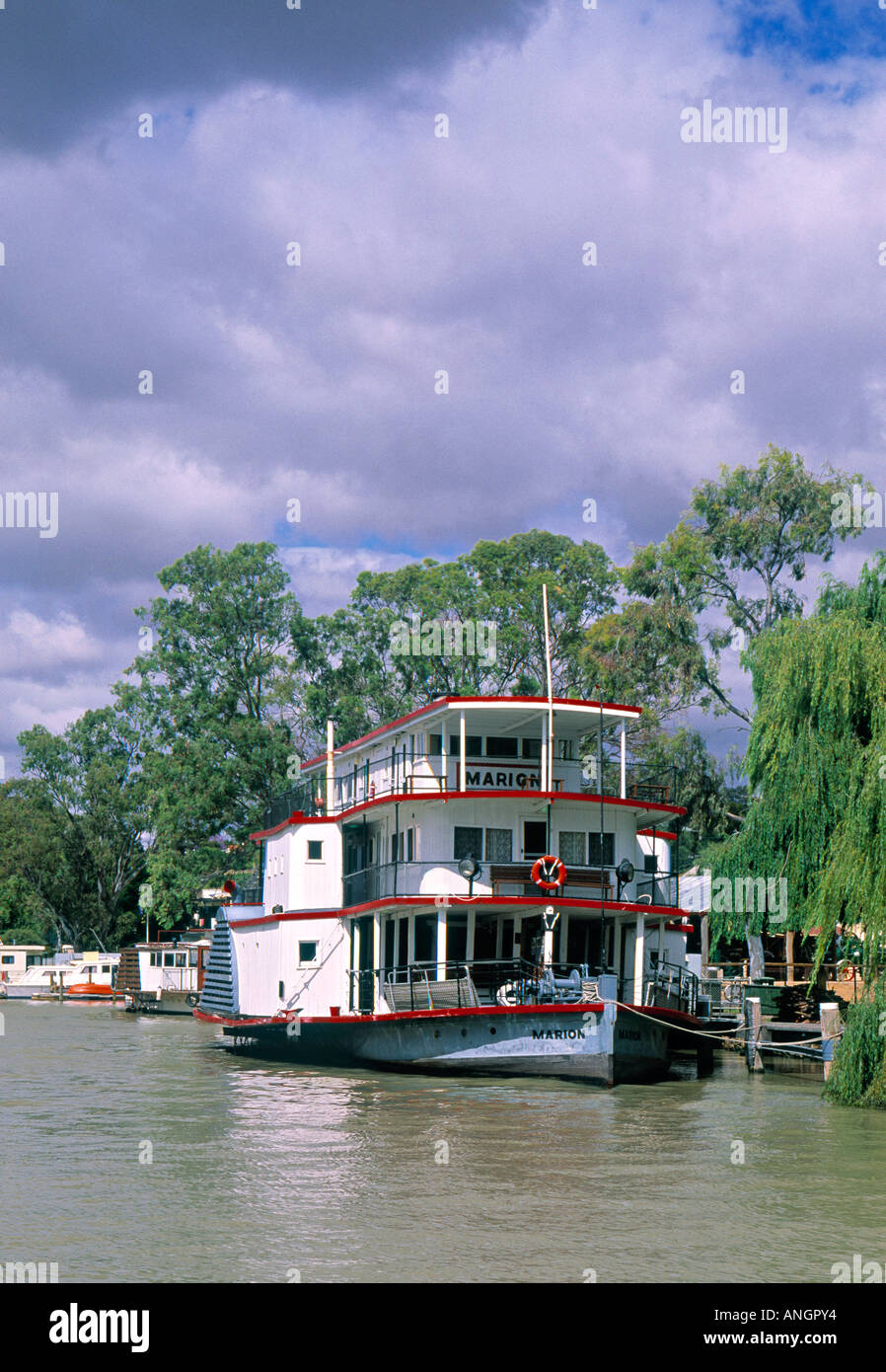 Steam Boat, Murray River, South Australia, Australia Stock Photo