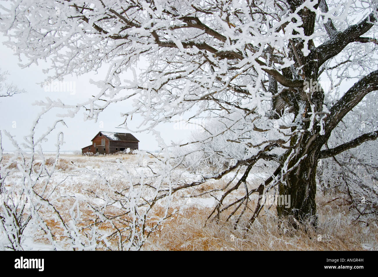 Altona meadows hires stock photography and images Alamy