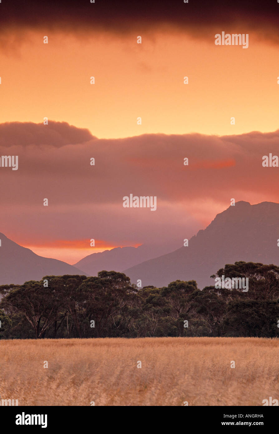 Stirling Ranges, Western Australia, Australia Stock Photo