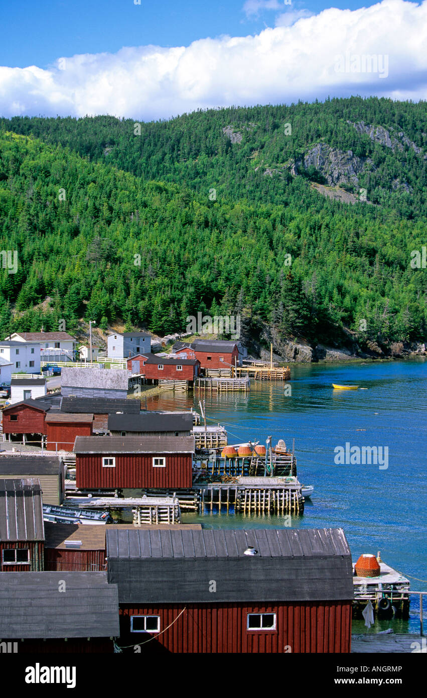 Fishing Wharfs at Hickman's Harbour, Random Island, Newfoundland
