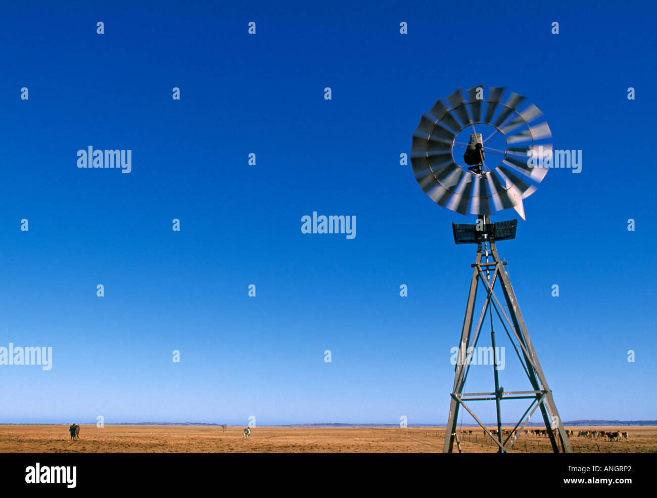 Windmill, Western Australia, Australia Stock Photo Alamy