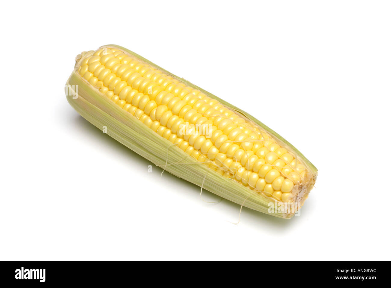 Sweetcorn on the cob on white background Stock Photo