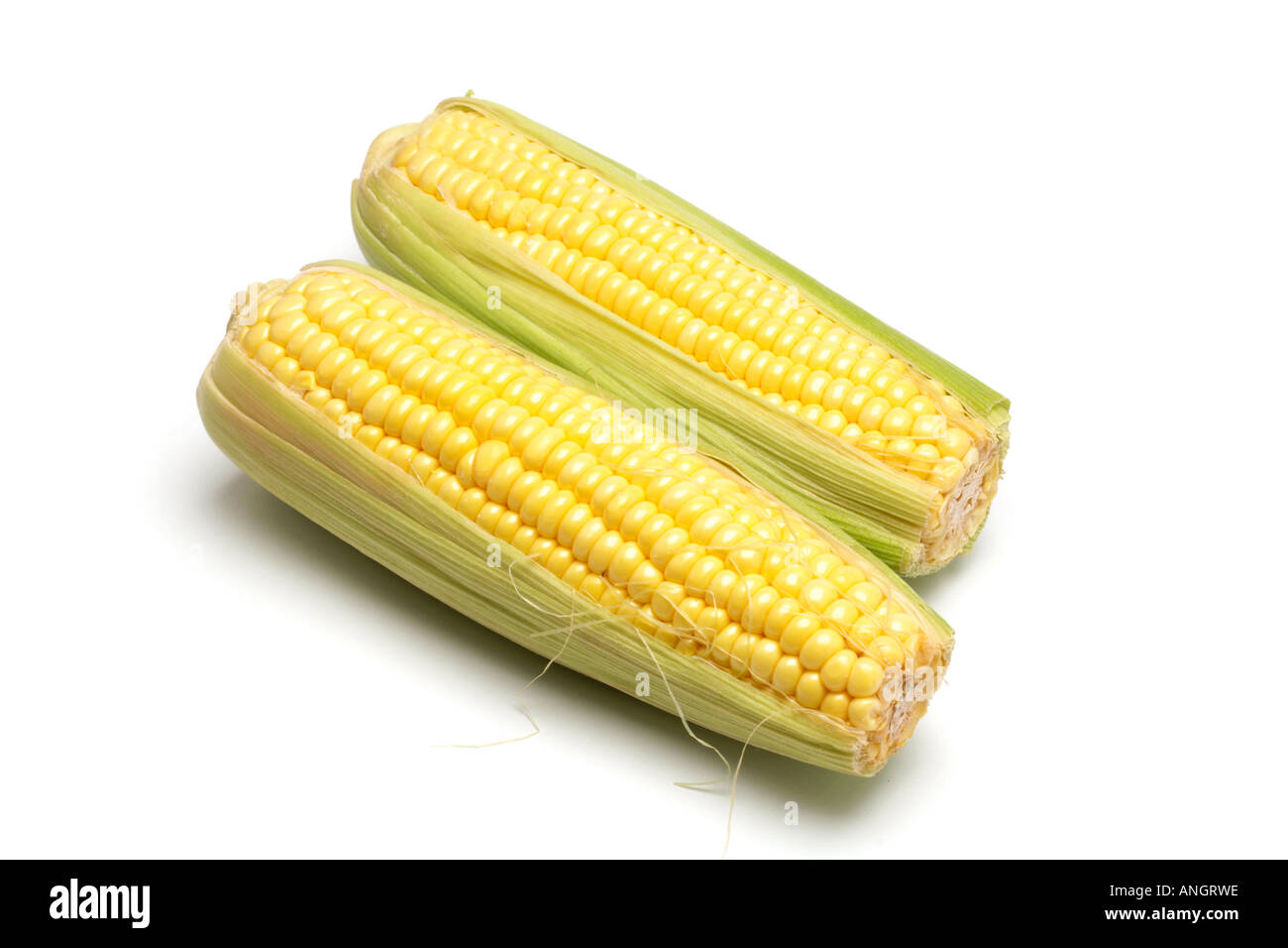 Sweetcorn on the cob on white background Stock Photo