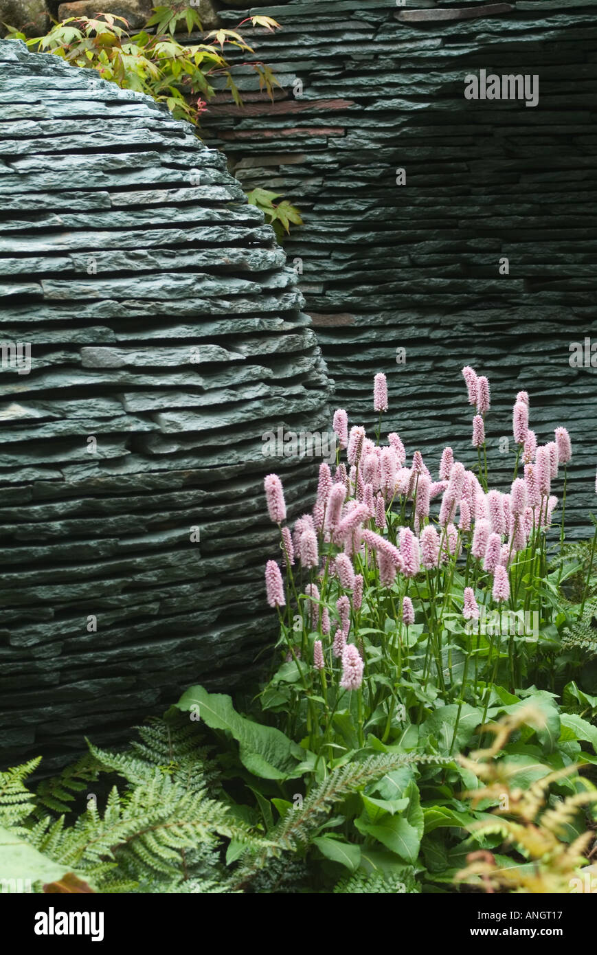 The Philosophers Garden designed by Andrew Loudon at Chelsea Flower