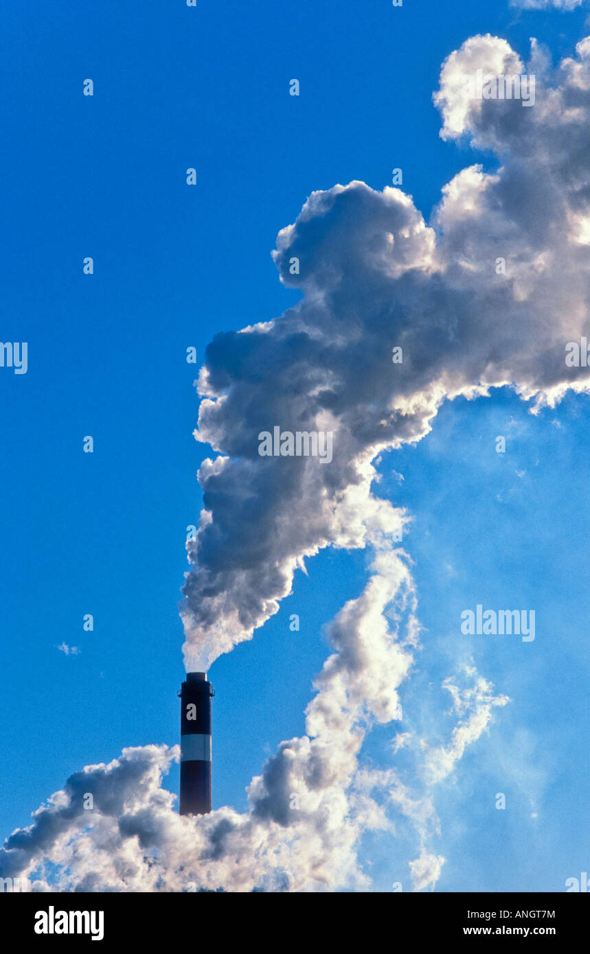 Smokestack emission from pulp mill, Canada. Stock Photo