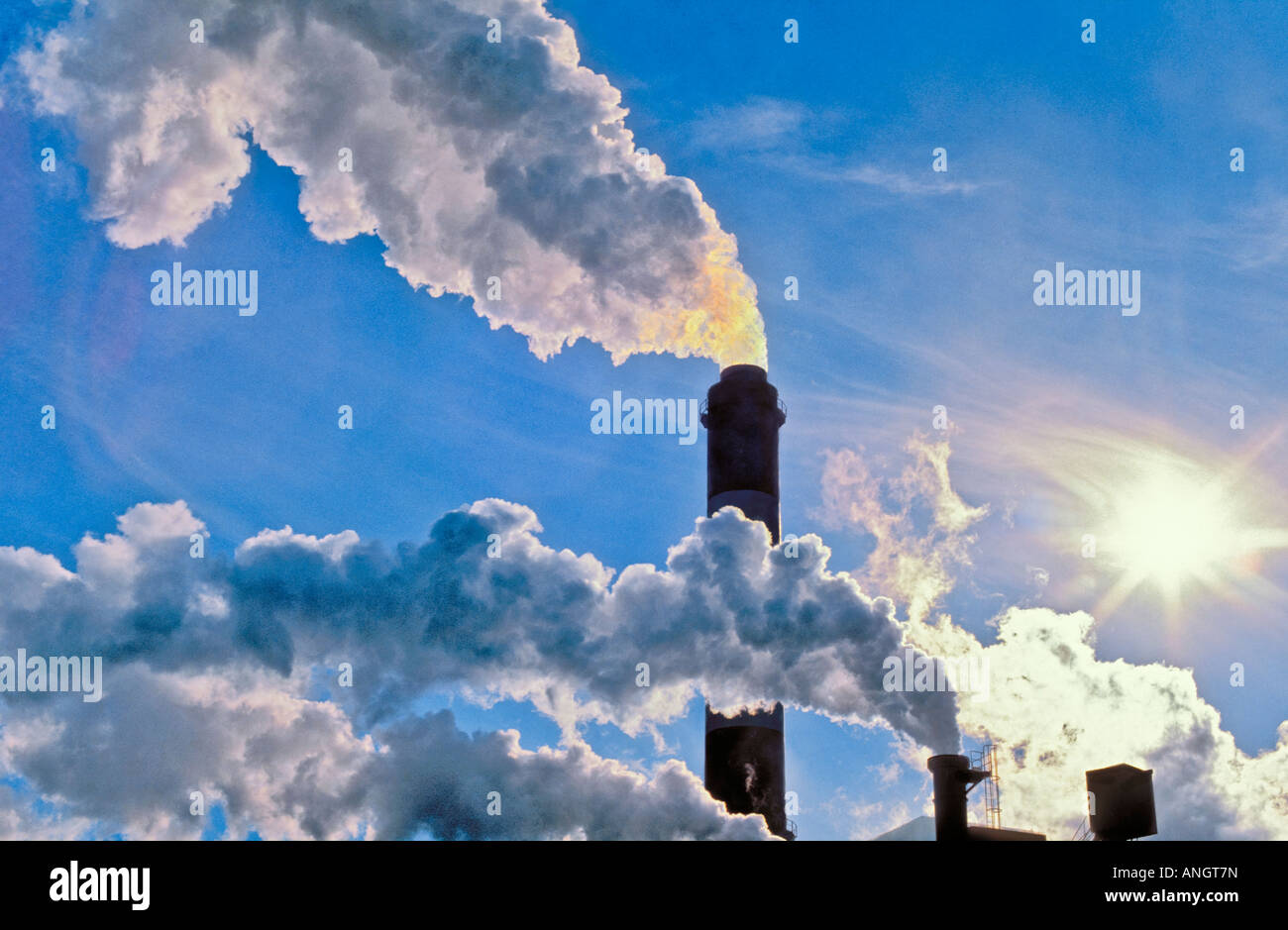 Pulp mill smokestack hi-res stock photography and images - Alamy