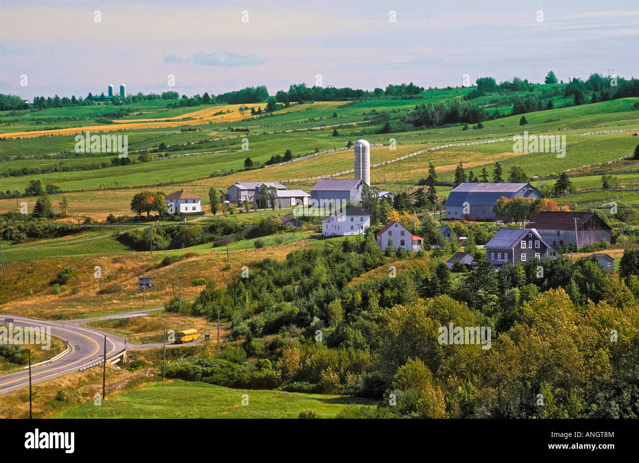 dairy-farms-near-rimouski-hi-res-stock-photography-and-images-alamy