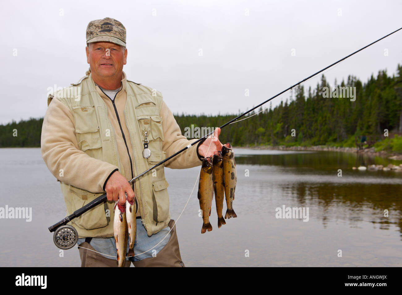 Fisherman with a catch of Speckled Trout, caught near Tuckamore Lodge, Main Brook, Viking Trail, Great Northern Peninsula, Newfo Stock Photo