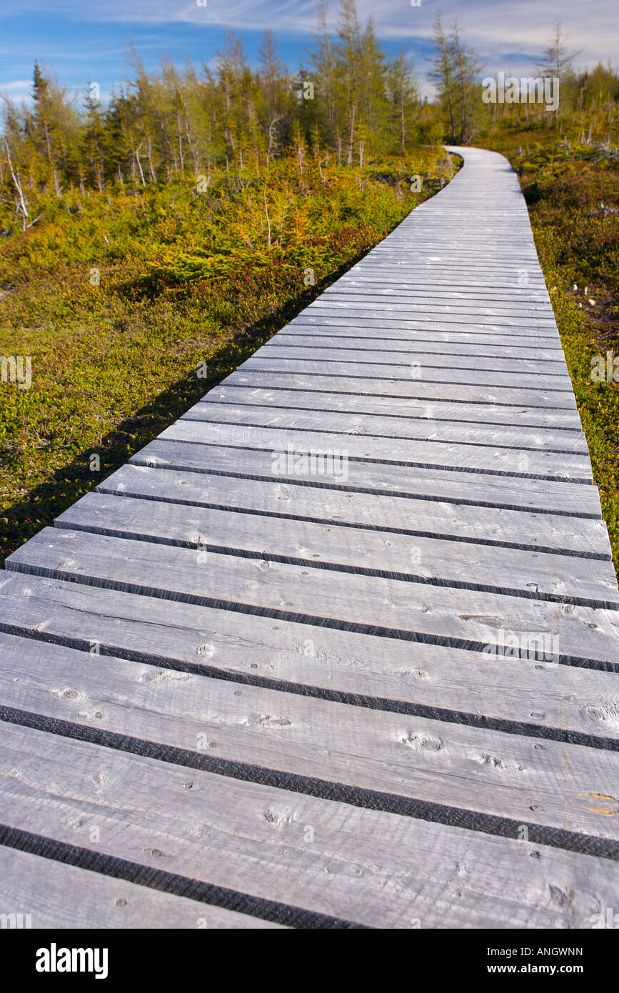 Boardwalk at the start of the Boney Shore Trail, across the harbour from  the town of Red Bay, Labrador Coastal Drive, Viking Tr Stock Photo