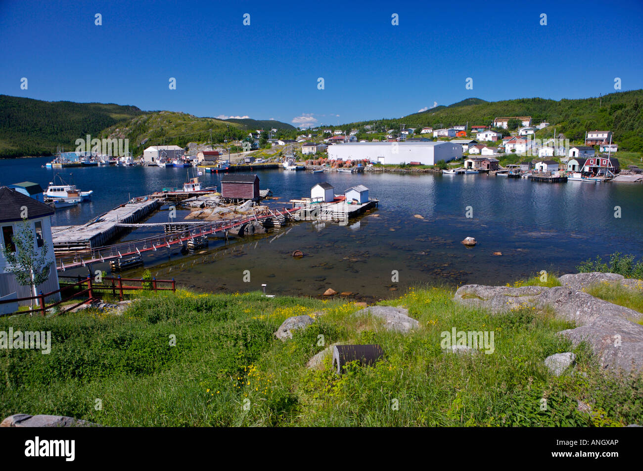 Harbour in the town of Seal Cove, White Bay, Dorset Trail, Baie Verte