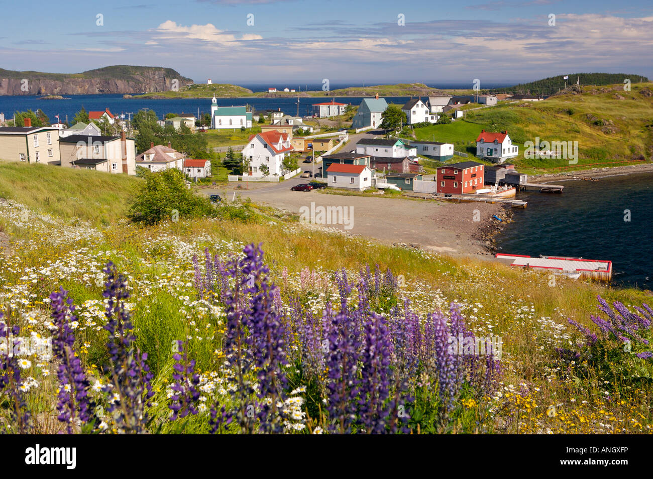 The town of Trinity seen from the main road, Bonavista Peninsula