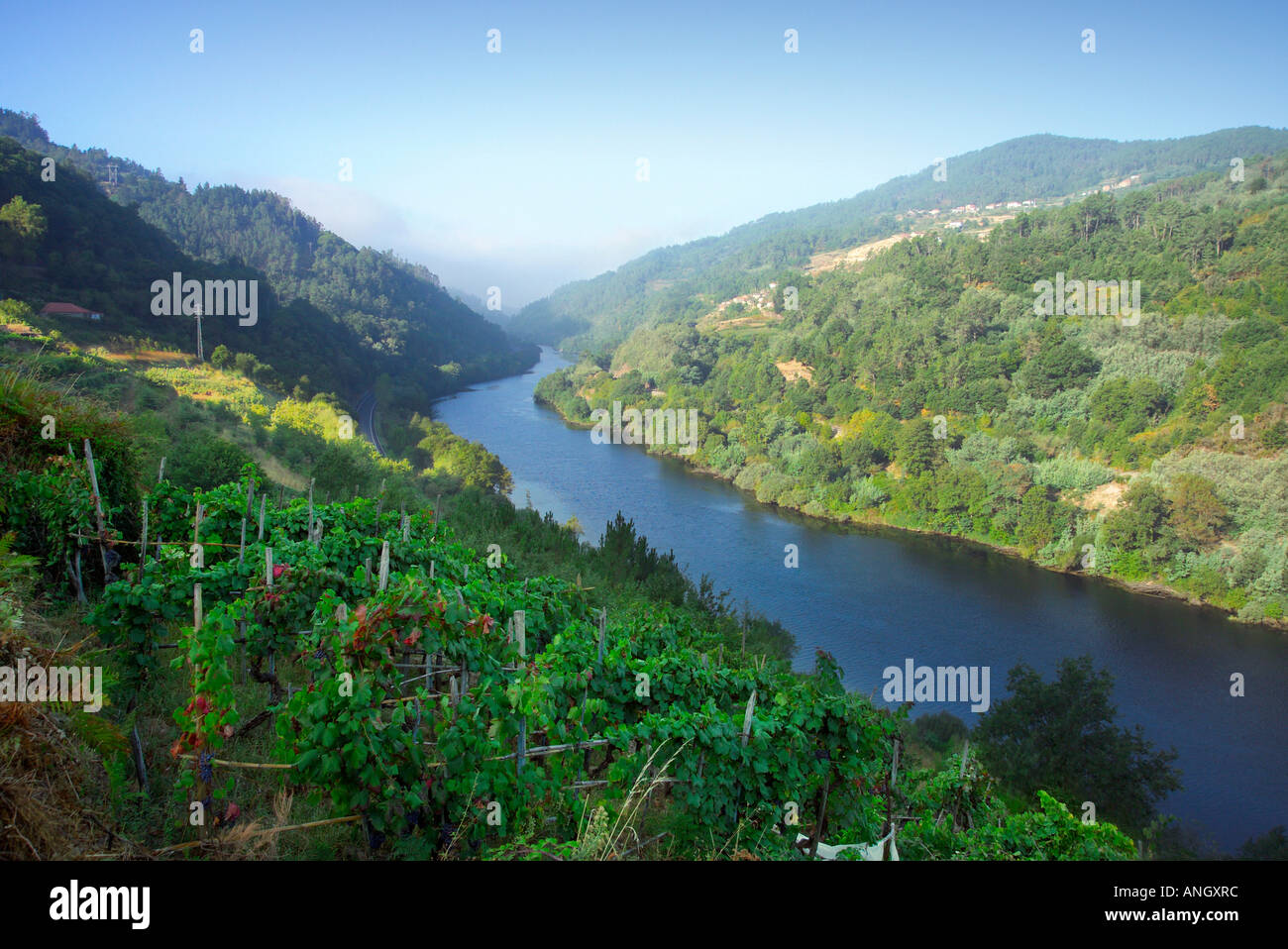 Mino hi-res stock photography and images - Alamy