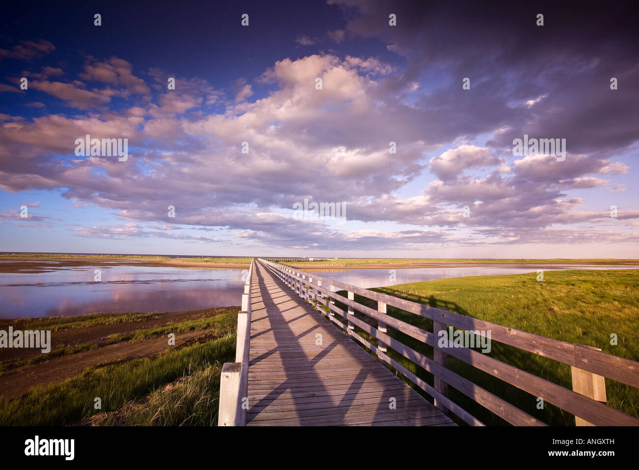 The Kellys beach boardwalk across the lagoon to the beaches and dunes