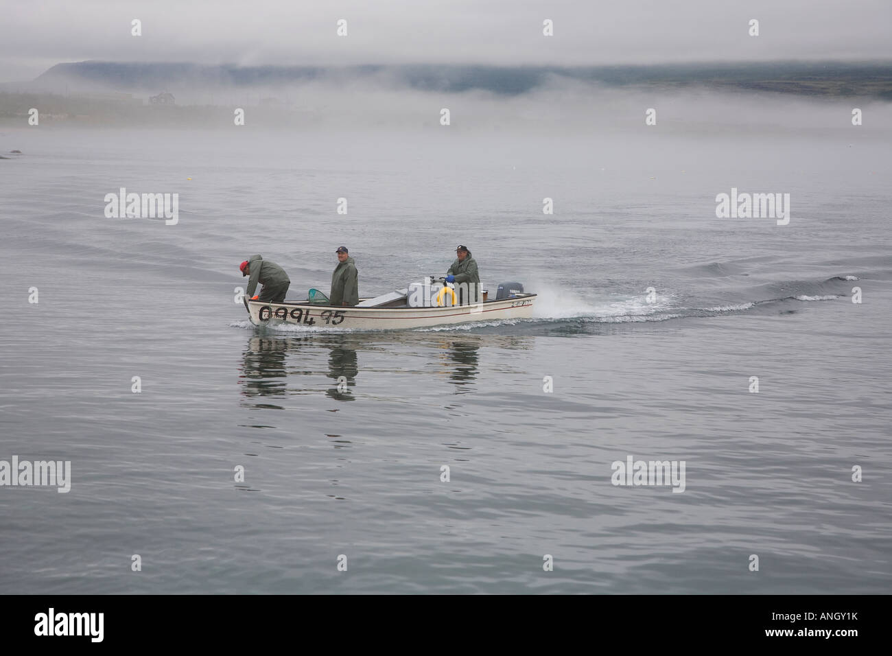 Capelin fishers bringing the boat to the dock at forteau hires stock