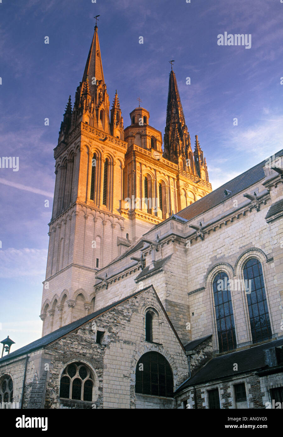 Maurice pearson hires stock photography and images Alamy