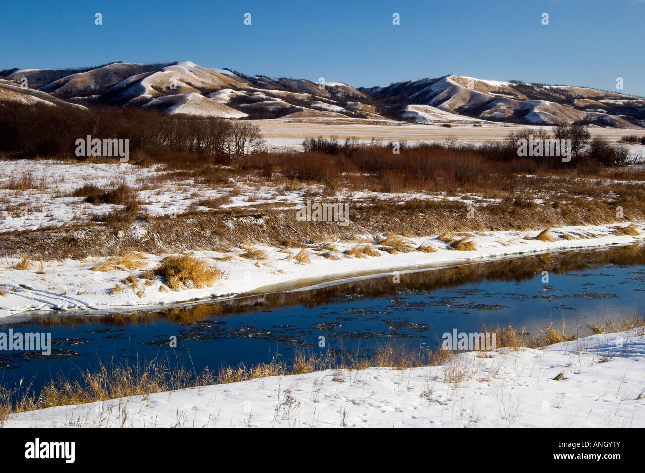 Qu'Appelle River in winter, Near Bird's Point, Saskatchewan, Canada. Stock Photo