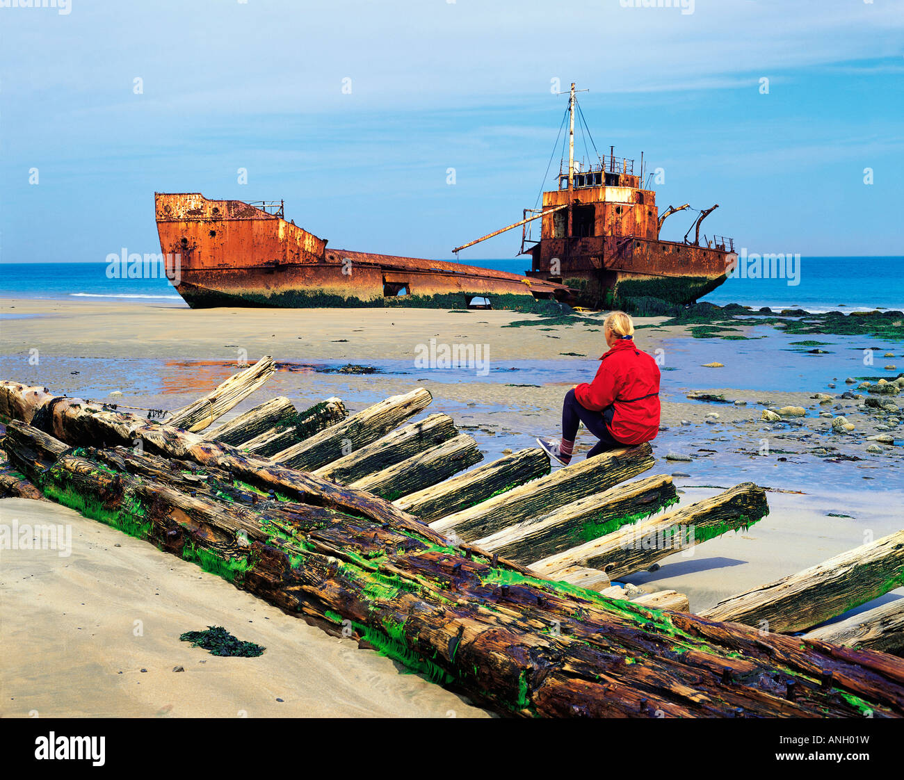 Woman sitting on remains of wooden shipwreck viewing shipwreck, Seal