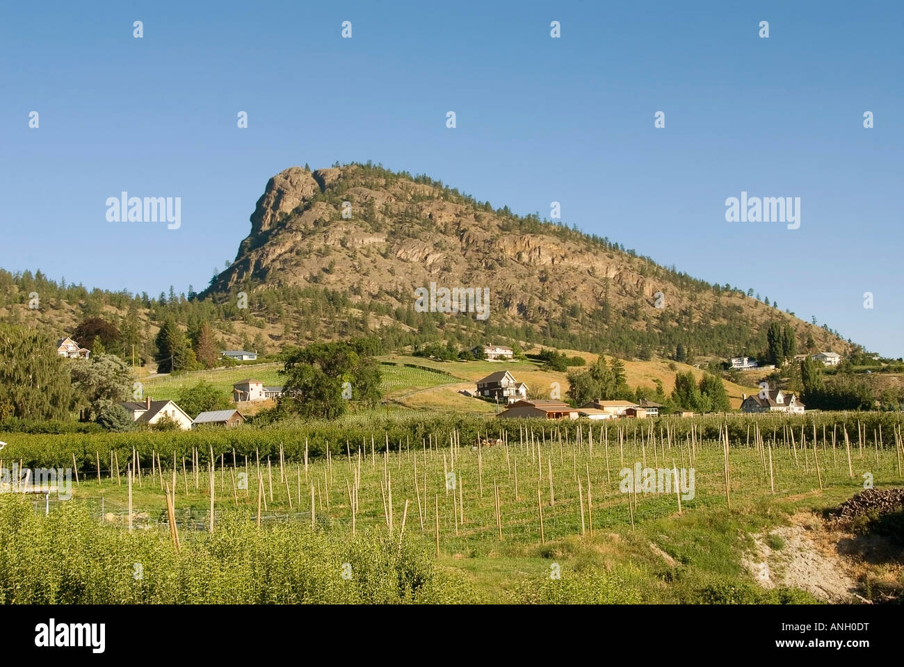Summerland, Giants Head, British Columbia, Canada Stock Photo Alamy