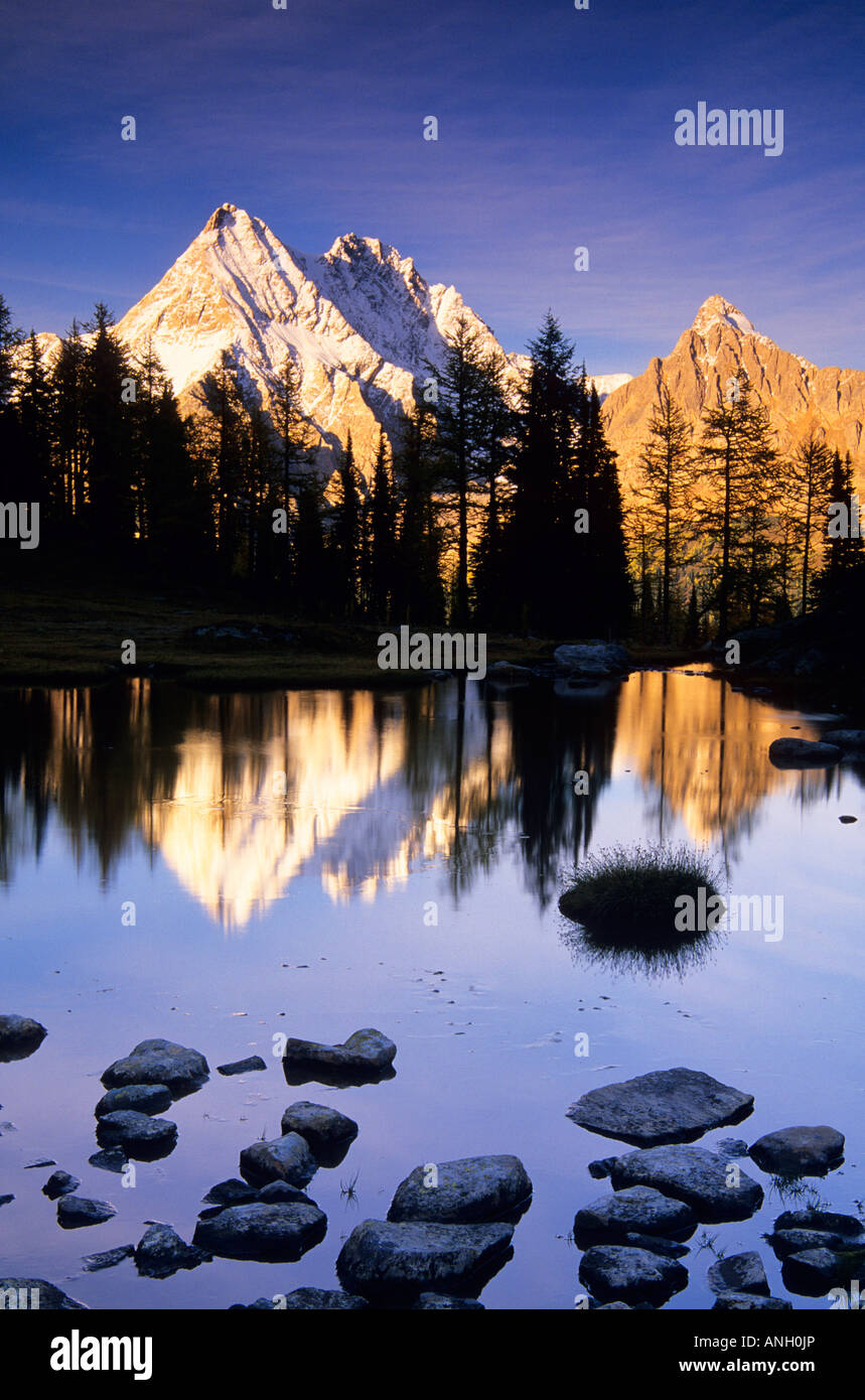 Sunset, Columbia Mountains. Jumbo Pass, Jumbo Mountain, British ...