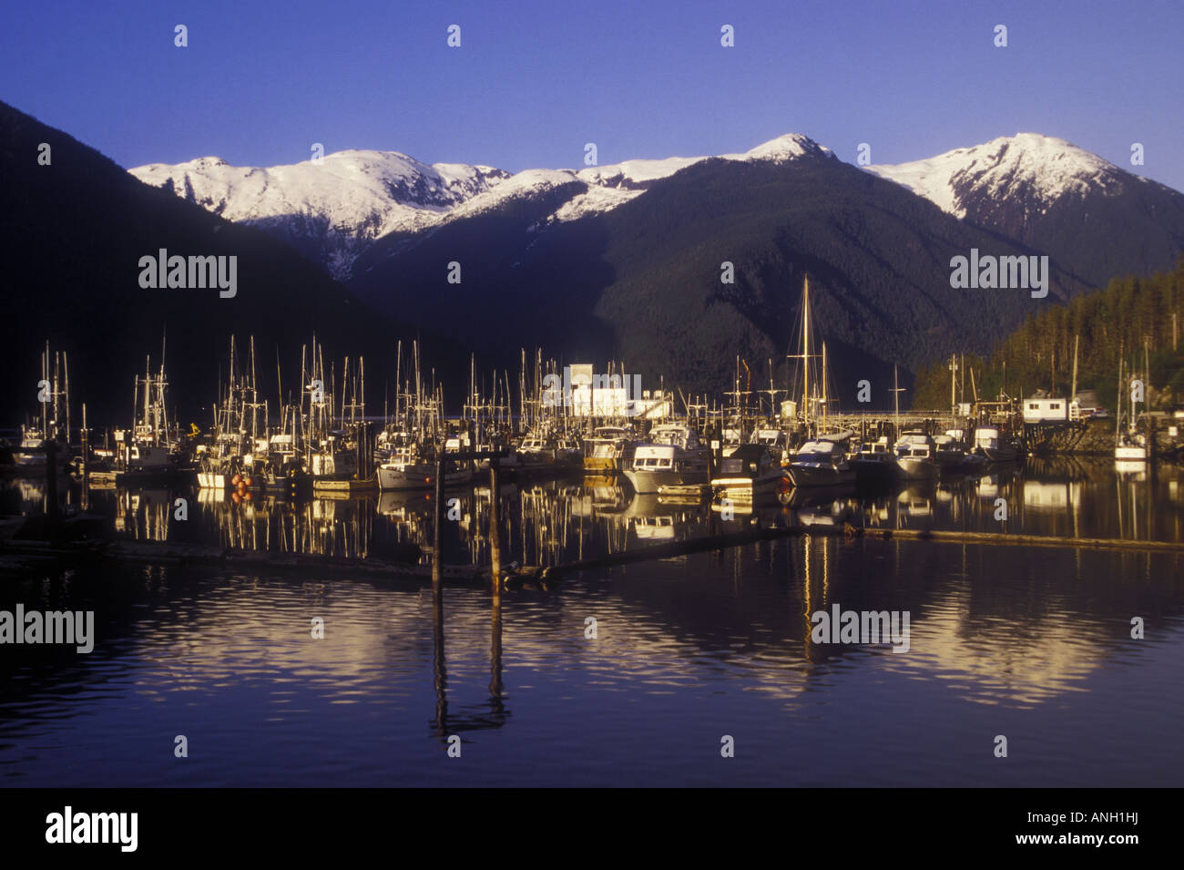 Bella Coola Harbour, British Columbia, Canada Stock Photo Alamy