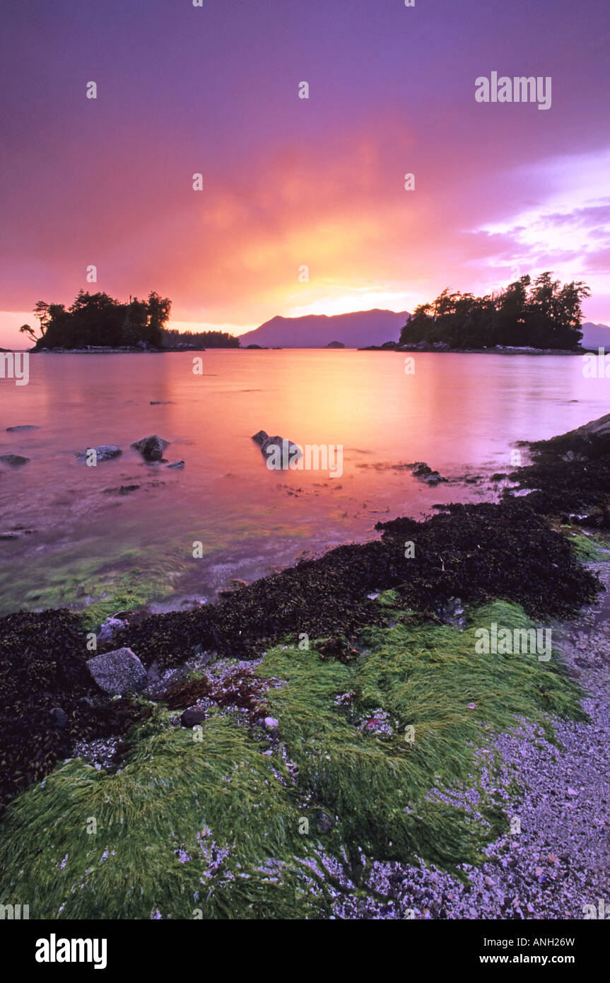 Willis Island sunset, Broken Group Islands, Pacific Rim National Park;  Barkley Sound, on the west coast of Vancouver Island, Bri Stock Photo -  Alamy