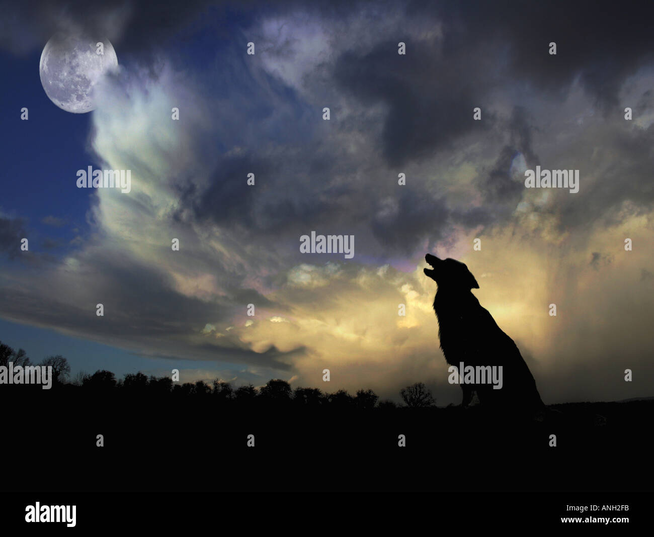 How Are Moon Dogs Formed