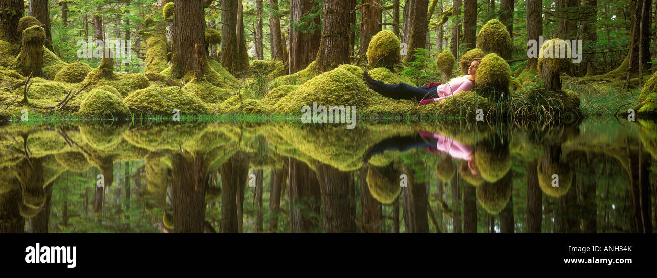 Swamp Forest, Tow Hill Ecological Reserve, Queen charlotte Islands, British Columbia, Canada. Stock Photo