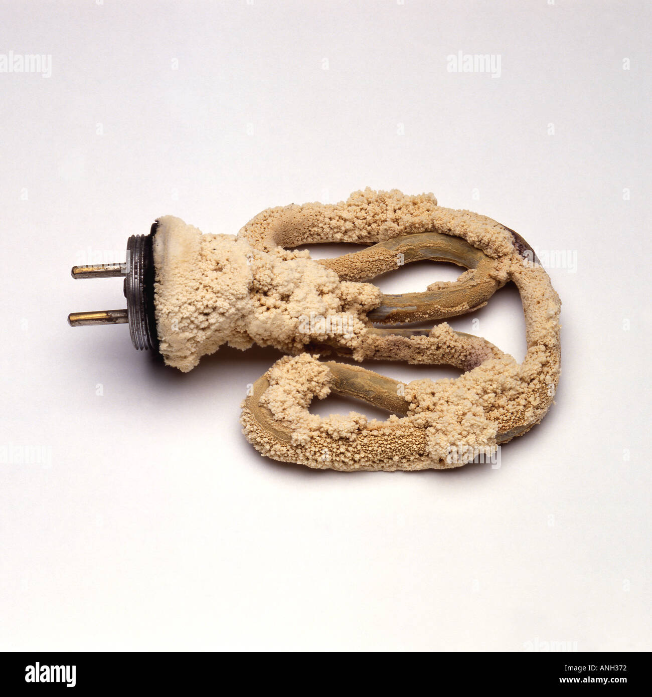 Limescale on kettle element Stock Photo Alamy