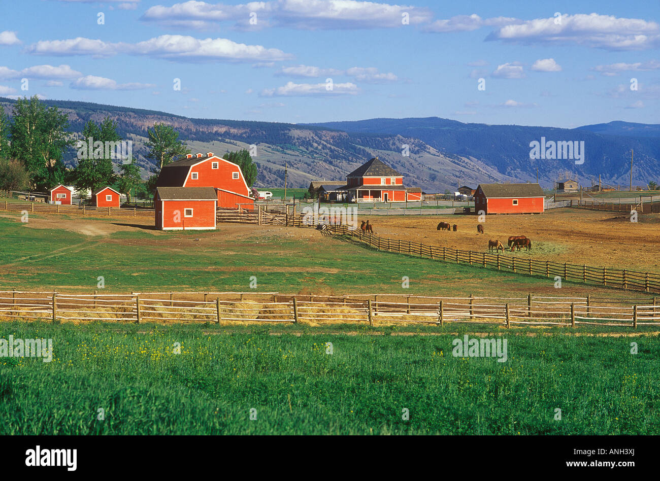 Gang Ranch, British Columbia, Canada Stock Photo Alamy