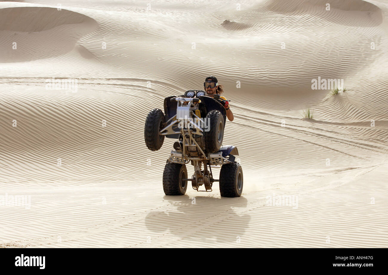 Quad rider in the desert, riding on rear wheels Stock Photo