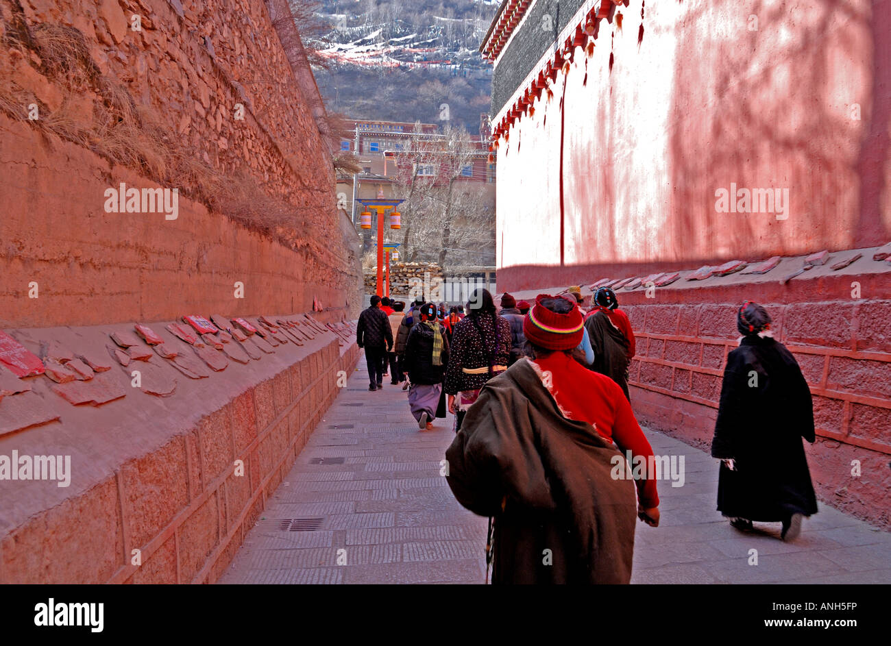 a tibetan people in the lamasery praying family safety and good luck . Stock Photo