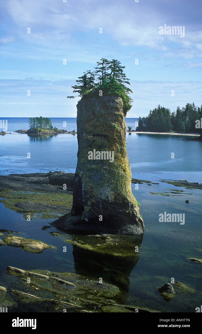 Pillar Rock, Graham Island, British Columbia, Canada Stock Photo Alamy