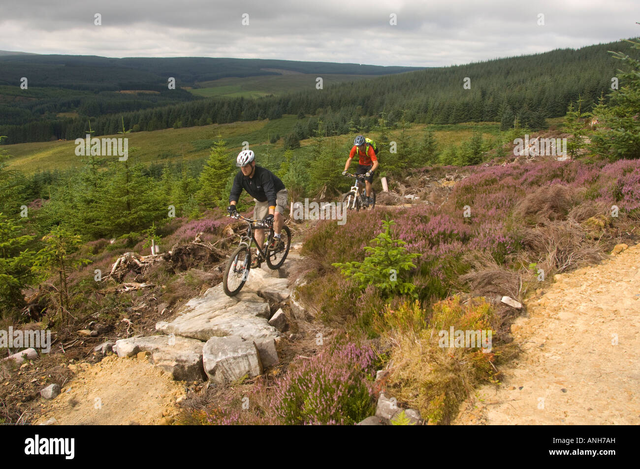 kielder forest bike trails