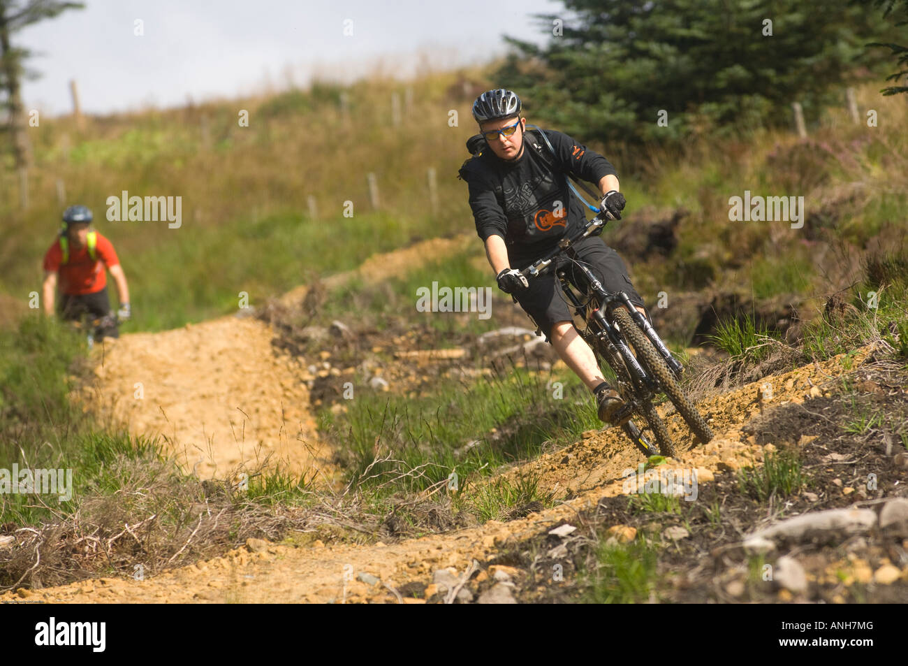 kielder forest mtb
