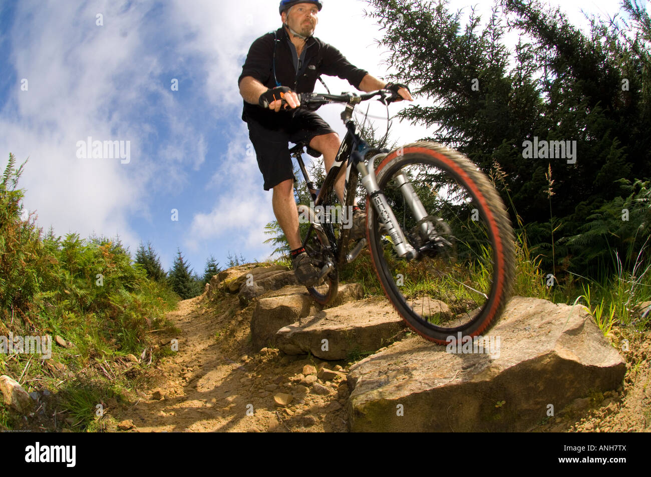 Riders mountain bike the man made trails in Kielder Forest near the Scottish Border Northumberland England UK Stock Photo