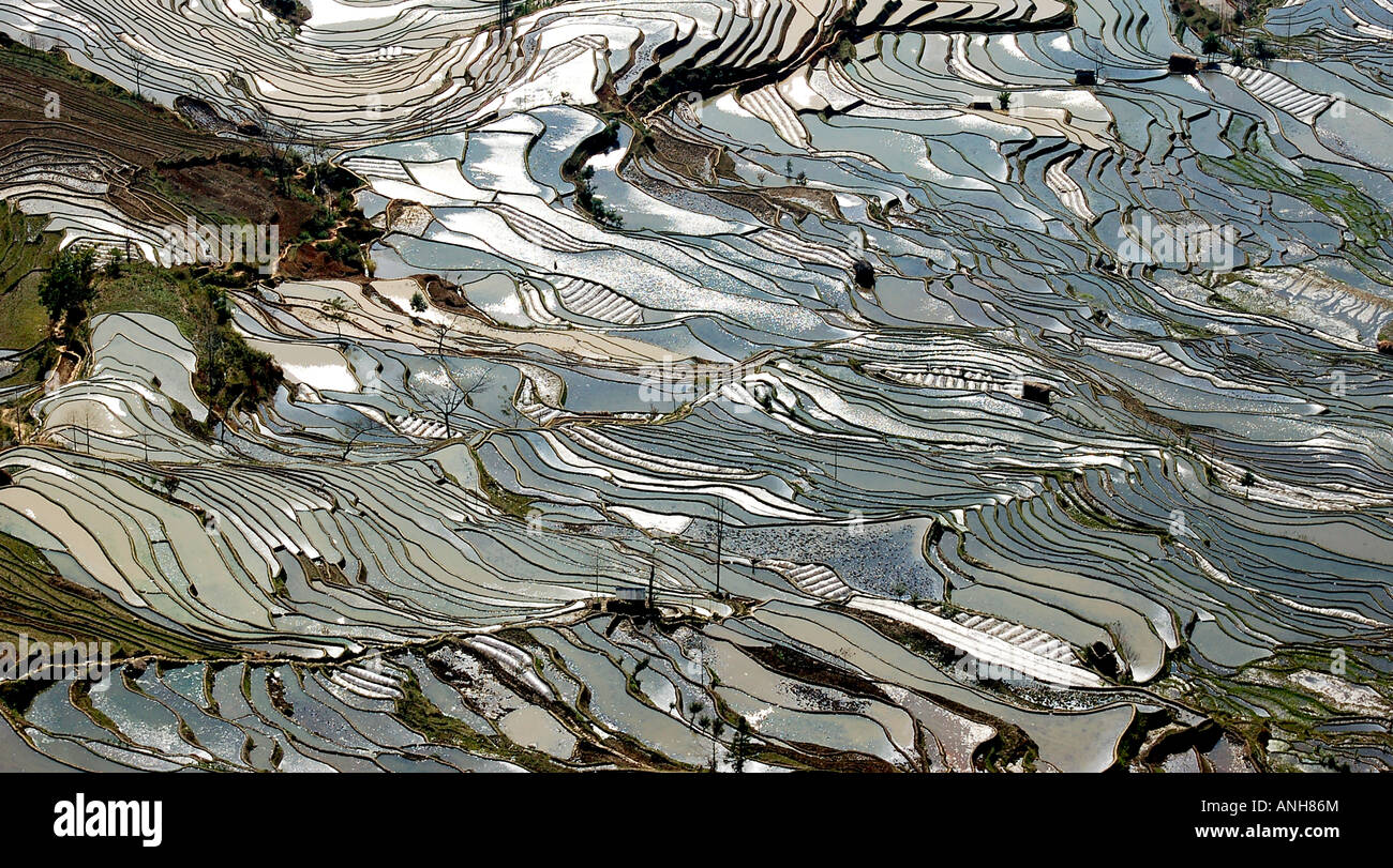 rise terrace in China Yunnan Yunyang Stock Photo Alamy