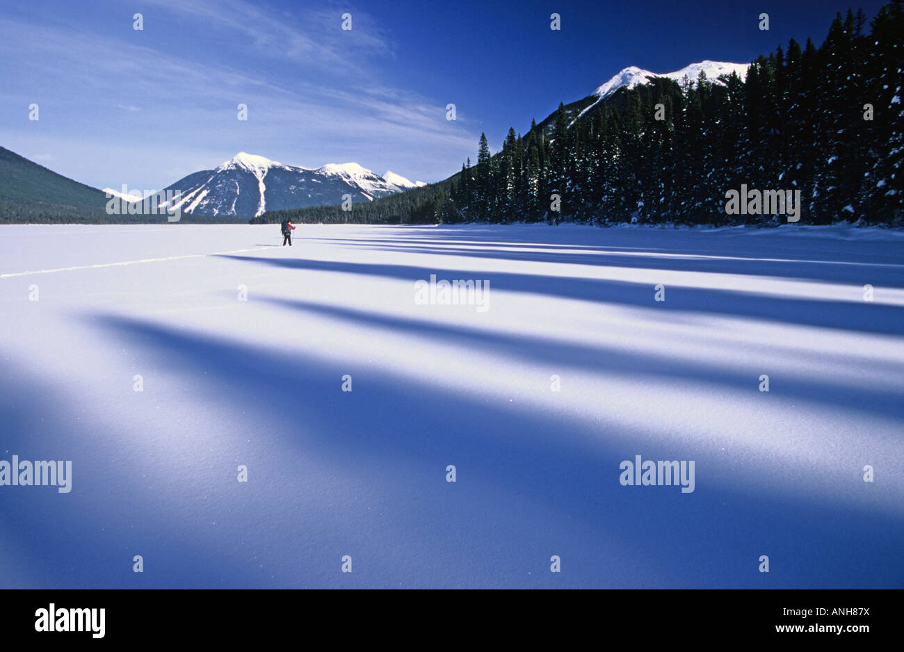 Backcountry skier on frozen Isaac Lake in winter, Bowron Lakes Provincial Park, British Columbia, Canada. Stock Photo