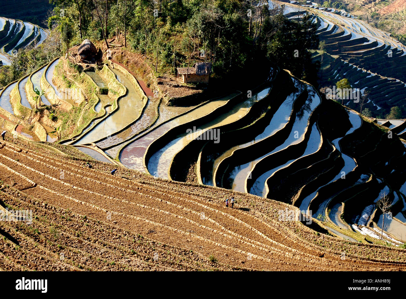 rise terrace in China Yunnan Yunyang Stock Photo