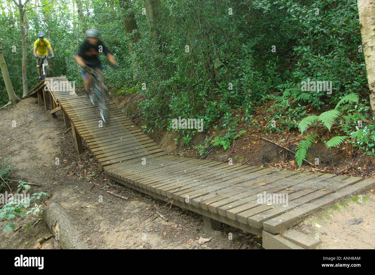 Mountain bikers ride the man made trails in Chopwell Woods near Hamsterley Northumberland England UK Stock Photo