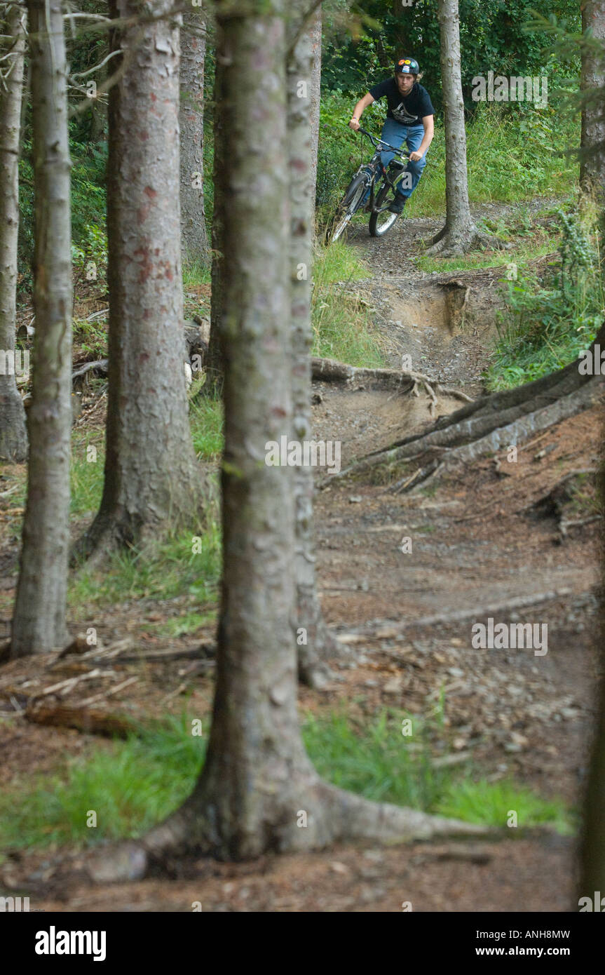 Mountain bikers ride the man made trails in Chopwell Woods near Hamsterley Northumberland England UK Stock Photo