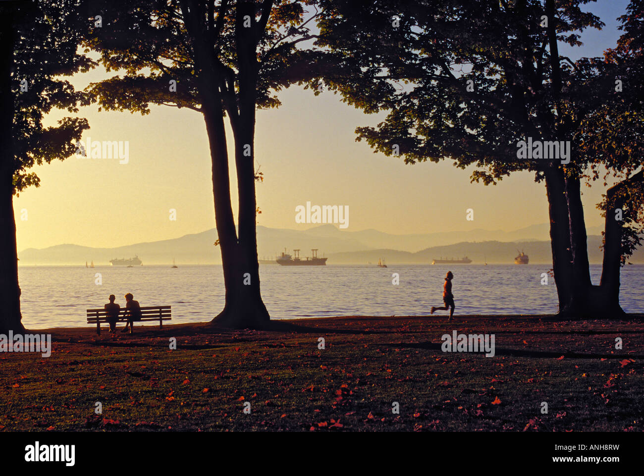 Kitsilano Beach & English Bay. Vancouver, British Columbia, Canada Stock Photo Alamy