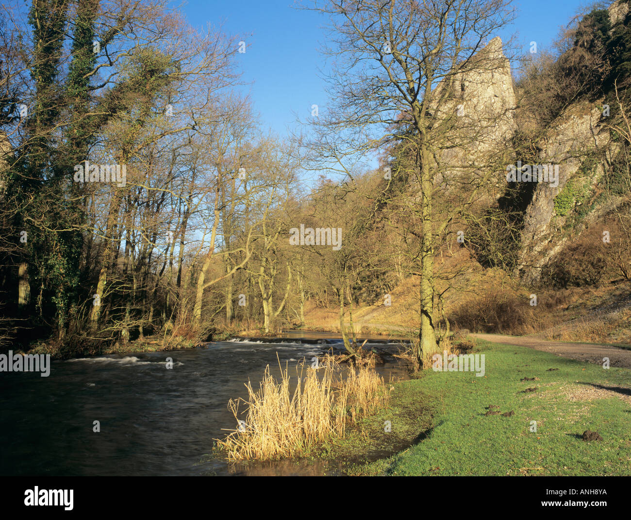 DOVEDALE gorge River Dove with path near Tissington Spires in White Peak of Peak District National Park Derbyshire England UK Stock Photo