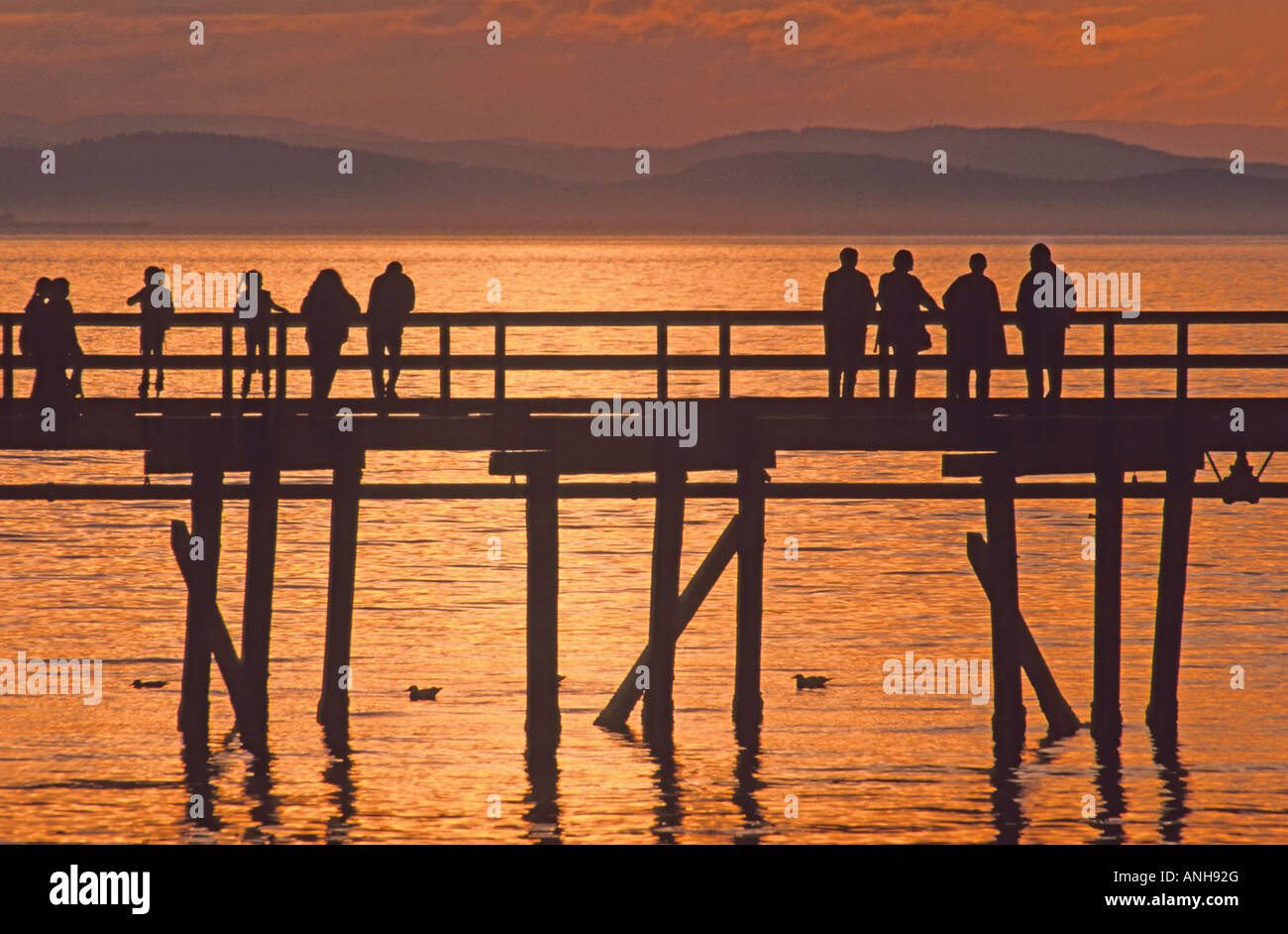 The 500m-long White Rock Pier & Boundary Bay at sunset, White Rock ...