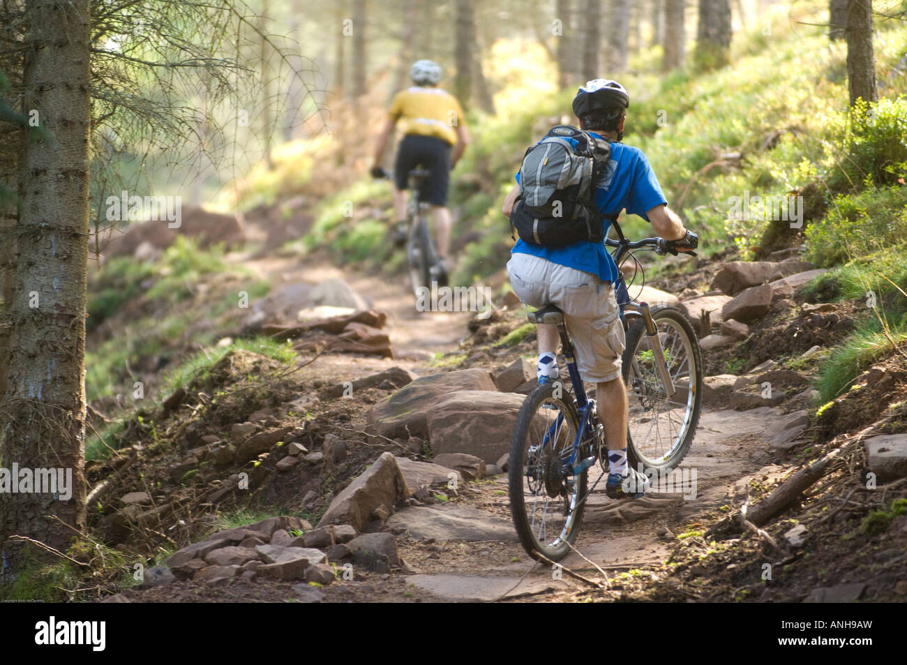 mountain biking north east